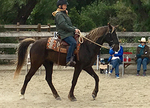 Jody's student learning how to improve gaits through riding instruction for gaited horses