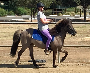 Jody's student learning how to improve gaits through riding instruction for gaited horses