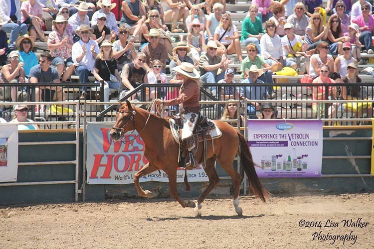 Del Dios Training Stables -  Bonsall, CA 92003