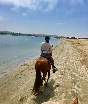 Trail riding - resolving issues on the trail with your horse