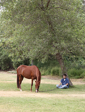 Man riding horse