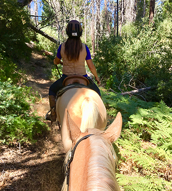 Trail riding - resolving issues on the trail with your horse